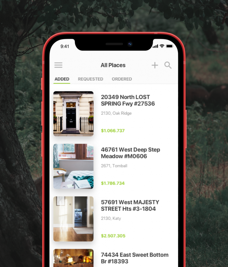 Real Estate Merchant